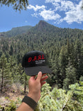 D.A.R.E. Snapback